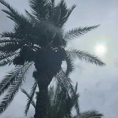 Torremaria 托雷维耶哈